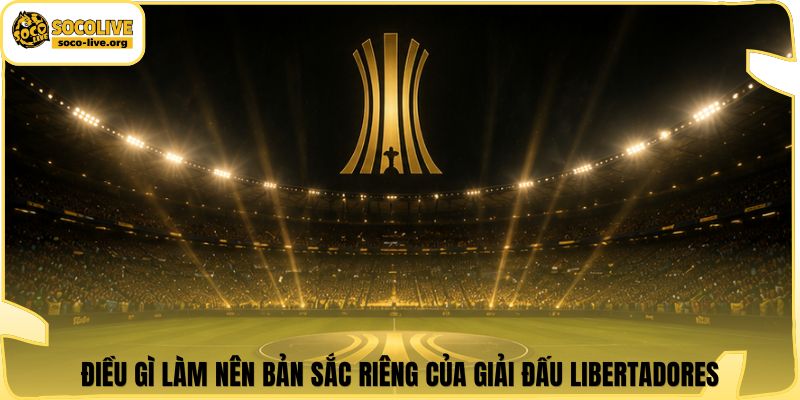 Điều gì làm nên bản sắc riêng của giải đấu Libertadores