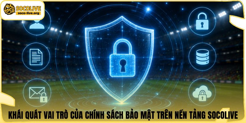 Khái quát vai trò của chính sách bảo mật trên nền tảng Socolive